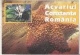 Bnk cp Constanta - Acvariul - necirculata, Printata