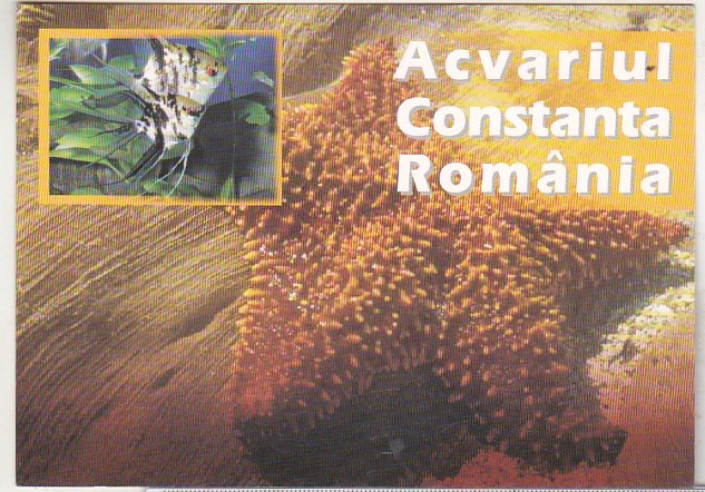 bnk cp Constanta - Acvariul - necirculata