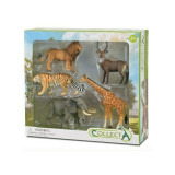 Collecta - Set 5 buc Animale Salbatice