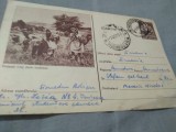 Cumpara ieftin CARTE POSTALA PIONERELE CULEG PLANTE MEDICINALE CIRCULATA