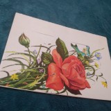 CARTE POSTALA FELICITARE 3D NECIRCULATA