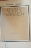 Practica actuala a betoanelor - Ion Ionescu