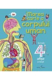 Marea carte a corpului uman - Minna Lacey Peter Allen - Editura Galaxia Copiilor