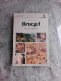 BRUEGEL - TUTTI DIPINTI (CARTE IN LIMBA ITALIANA)