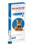 Bravecto Spot-On Pisici 250 mg (2.8 - 6.25 kg) &icirc;mpotriva puricilor și