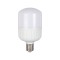 Bec LED 40W E40 6500K