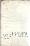 Iarna Fimbul - Alice Botez