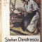 STEFAN DIMITRESCU-BEATRICE BEDNARIK-234022