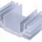 Radiator extrudat, aluminiu, 50mm x 74mm, STONECOLD -