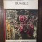 ALAIN ROBBE GRILLET - GUMELE