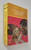 Ioan Dan Curierul secret