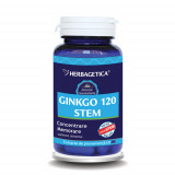 Ginkgo 120 Stem Herbagetica 30cps