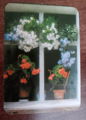 C9 16 - 1983 - Calendar de buzunar - flori foto