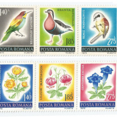 Romania, LP 754/1971, Ocrotirea naturii, pasari si flori, MNH