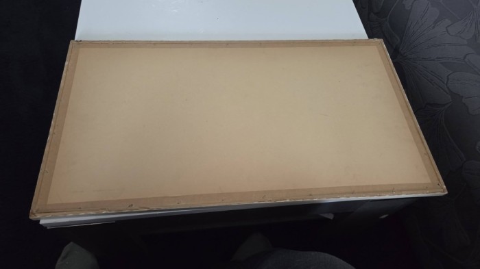 Hannes Rischert litografie color