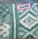 Disc Vinil Various - Interpreți De Muzică Populară Din Banat - Electrecord Cat: EPE 02081