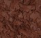 Foto  - 2