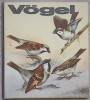 VOGEL Ulrich Creutz - Biologie, Kinderbuchverlag 1980, Germana, Cartonata, 65 pagini