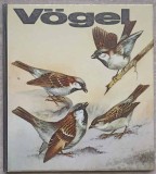 VOGEL Ulrich Creutz - Biologie, Kinderbuchverlag 1980, Germana, Cartonata, 65 pagini