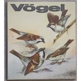 VOGEL-ULRICH CREUTZ-236529