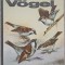 VOGEL-ULRICH CREUTZ-236529