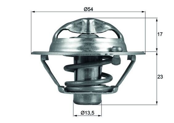 MAHLE TX 118 82D termostat,lichid racire
