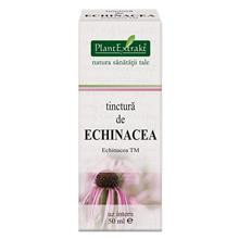 Tinctura Echinacea 50ml PlantExtrakt Cod: PLAX.00186 foto
