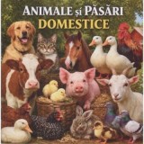 Animale si pasari domestice. Minienciclopedie pentru copii