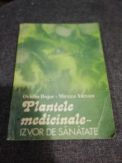 Plante medicinale izvor de sanatate de Ovidiu Bojor foto