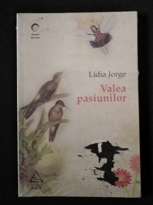 Lidia Jorge - Valea pasiunilor foto