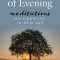 The Light of Evening: Meditations on Growing in Old Age