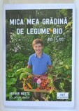 MICA MEA GRADINA DE LEGUME PE 15m2 de ARTHUR MOTTE , 2026