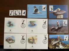 insulele virgine - pelican - serie 4 timbre MNH, 4 FDC, 4 maxime, fauna wwf foto