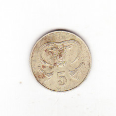 bnk mnd Cipru 5 cent 1983