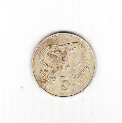 bnk mnd Cipru 5 cent 1983 foto