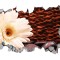 Sticker decorativ, gaura in perete 3D, Floare, 85 cm, 183STK-1