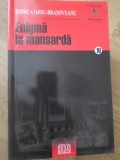 ENIGMA LA MANSARDA-RODICA OJOG-BRASOVEANU-347834