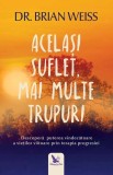 Cumpara ieftin Acelasi suflet, mai multe trupuri - Brian L. Weiss, Carte de Spiritualitate, 2019, Brosata, 272 pagini, Limba Romana