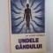 UNDELE GANDULUI de ALBERT LEPRINCE, 1995