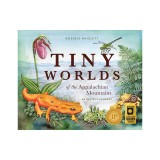 Tiny Worlds of the Appalachian Mountains: An Artist's Journey