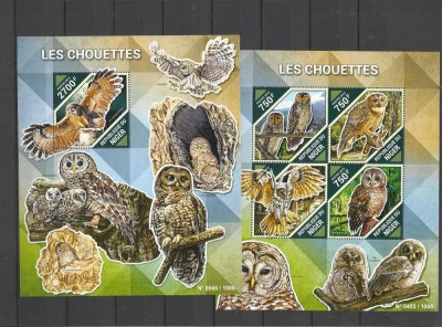 NIGER 2015 PASARI DE PRADA BUFNITE foto