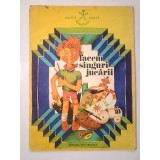 Micii meșteri mari: Facem singuri jucării (ilustrații: Anamaria Smigelschi) (puțin uzată, vezi descriere)