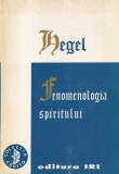 G. W. F. Hegel - Fenomenologia spiritului