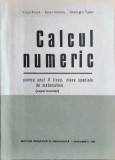 Calcul numeric anul II liceu, Virgil Brisca, 1972