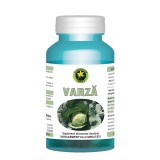 Extract de Varza 60cps Hypericum, Hypericum Plant