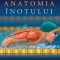 Anatomia inotului &ndash; Ian McLeod