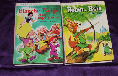 Robin des Bois - benzi desenate franceza Robin Hood Disney foto