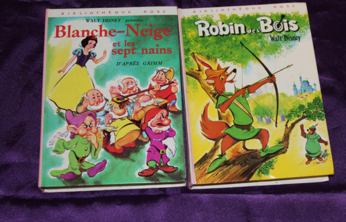 Robin des Bois - benzi desenate franceza Robin Hood Disney