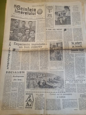 scanteia tineretului 5 decembrie 1963-art. raionul bujor foto