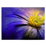 Tablou canvas floare anemona fantezie galben si violet 1087 Tablou canvas pe panza CU RAMA 80x120 cm